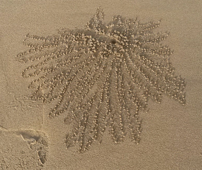 Sandkugeln