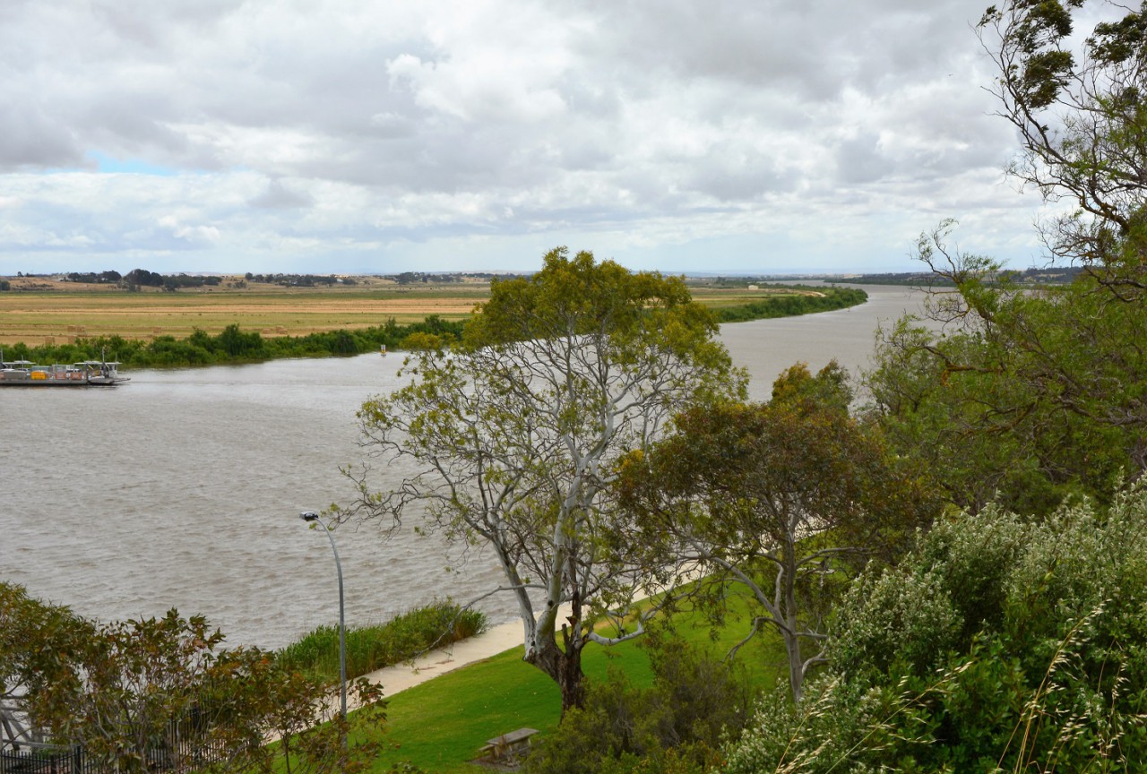 Der Murray River bei Tailem Bend